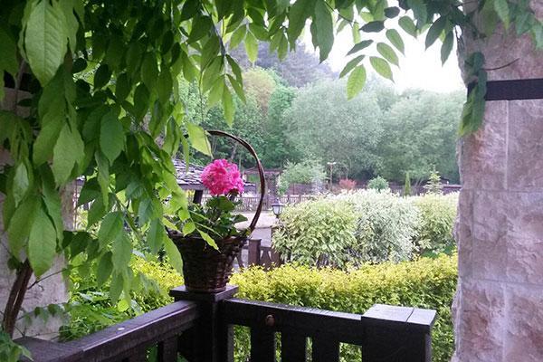 Guest House Pekliuk Gulubovtsi Екстер'єр фото